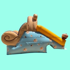 다람쥐 슬라이드3